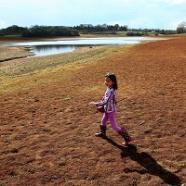 Environment UK DROUGHT