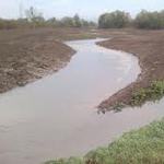 Environment UK chelt