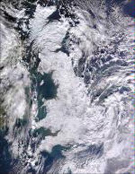 large_109_609203
